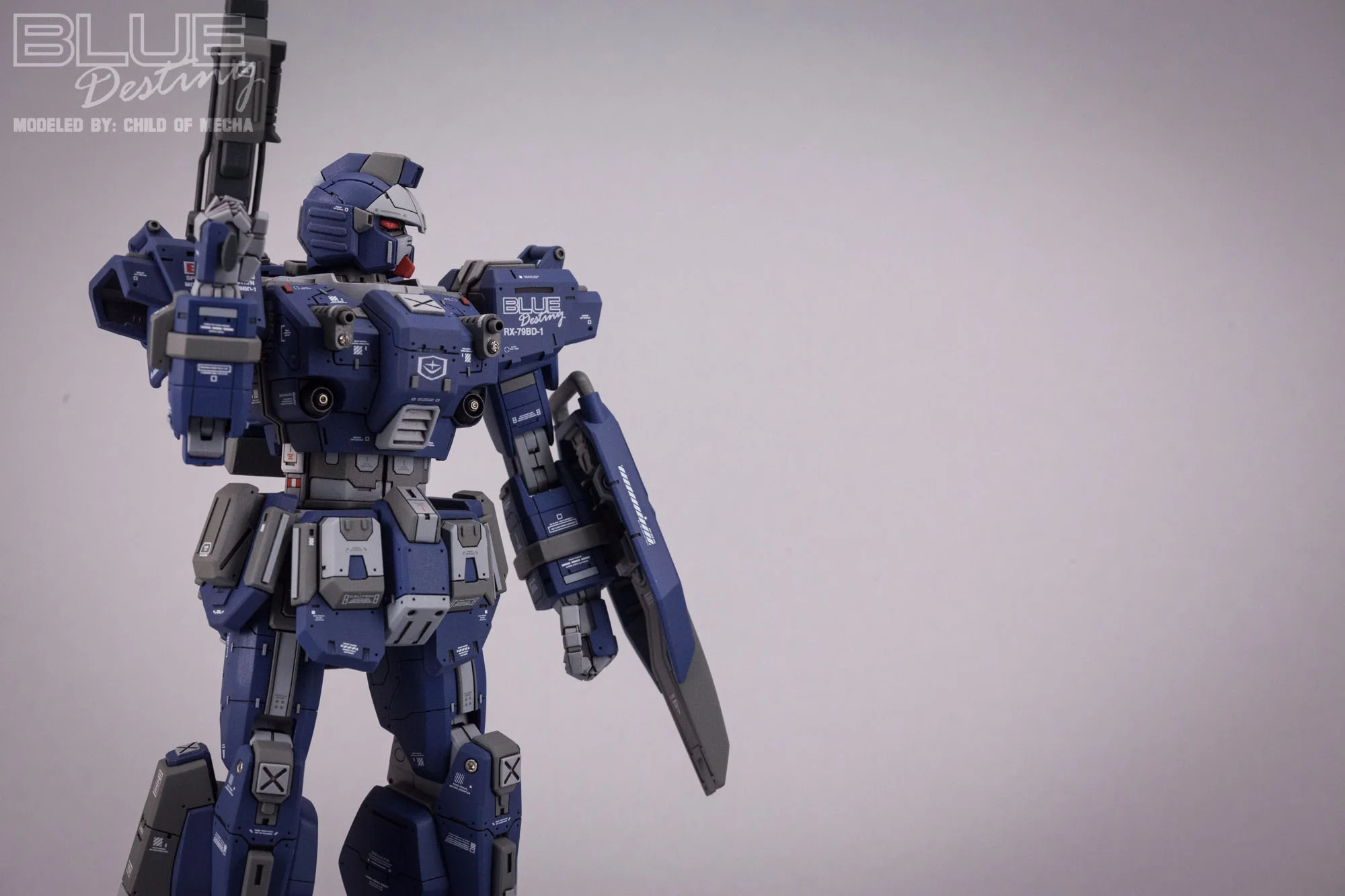 Blue Destiny Refurbished (29).jpg