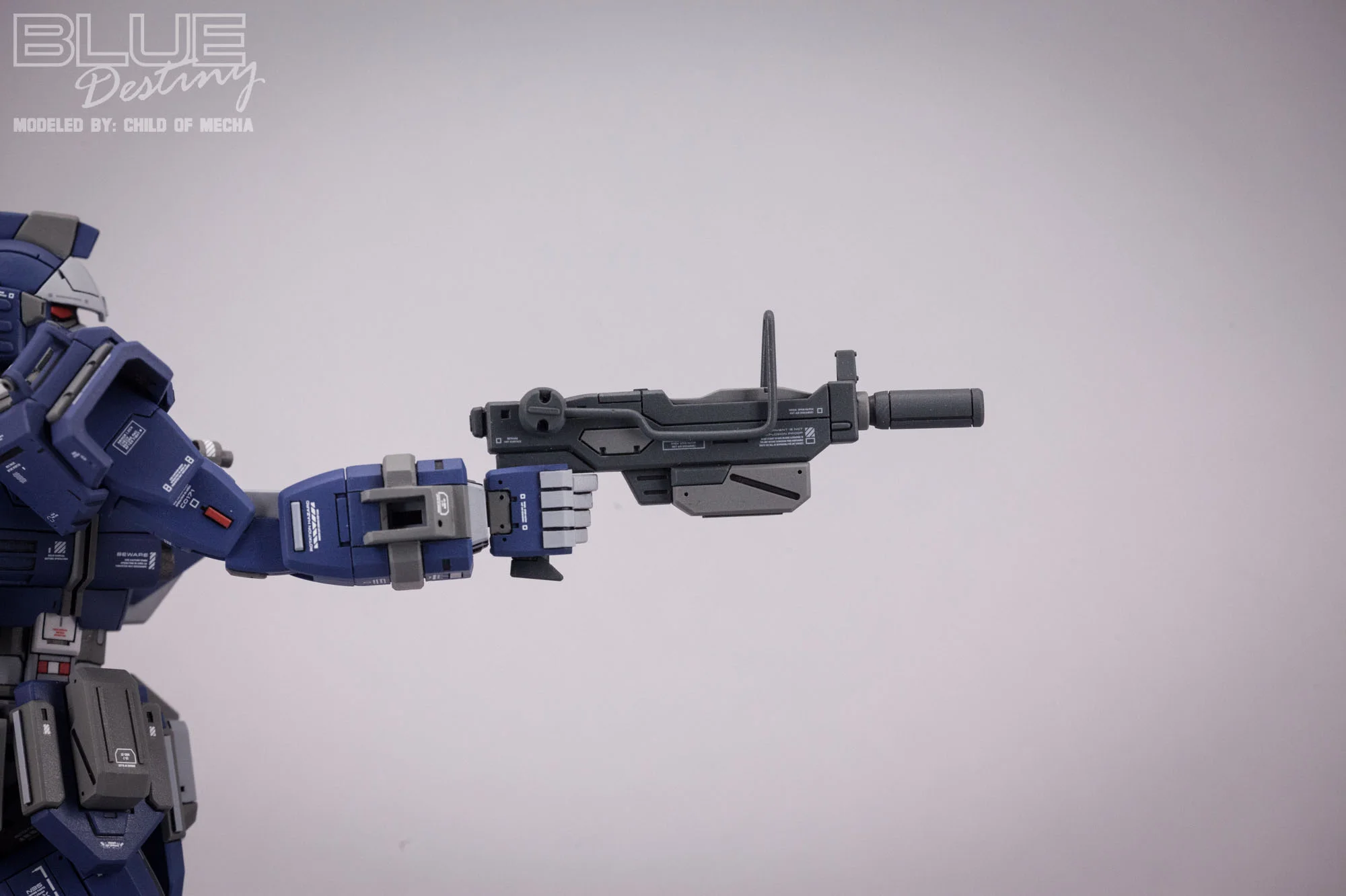 Blue Destiny Refurbished (33).jpg