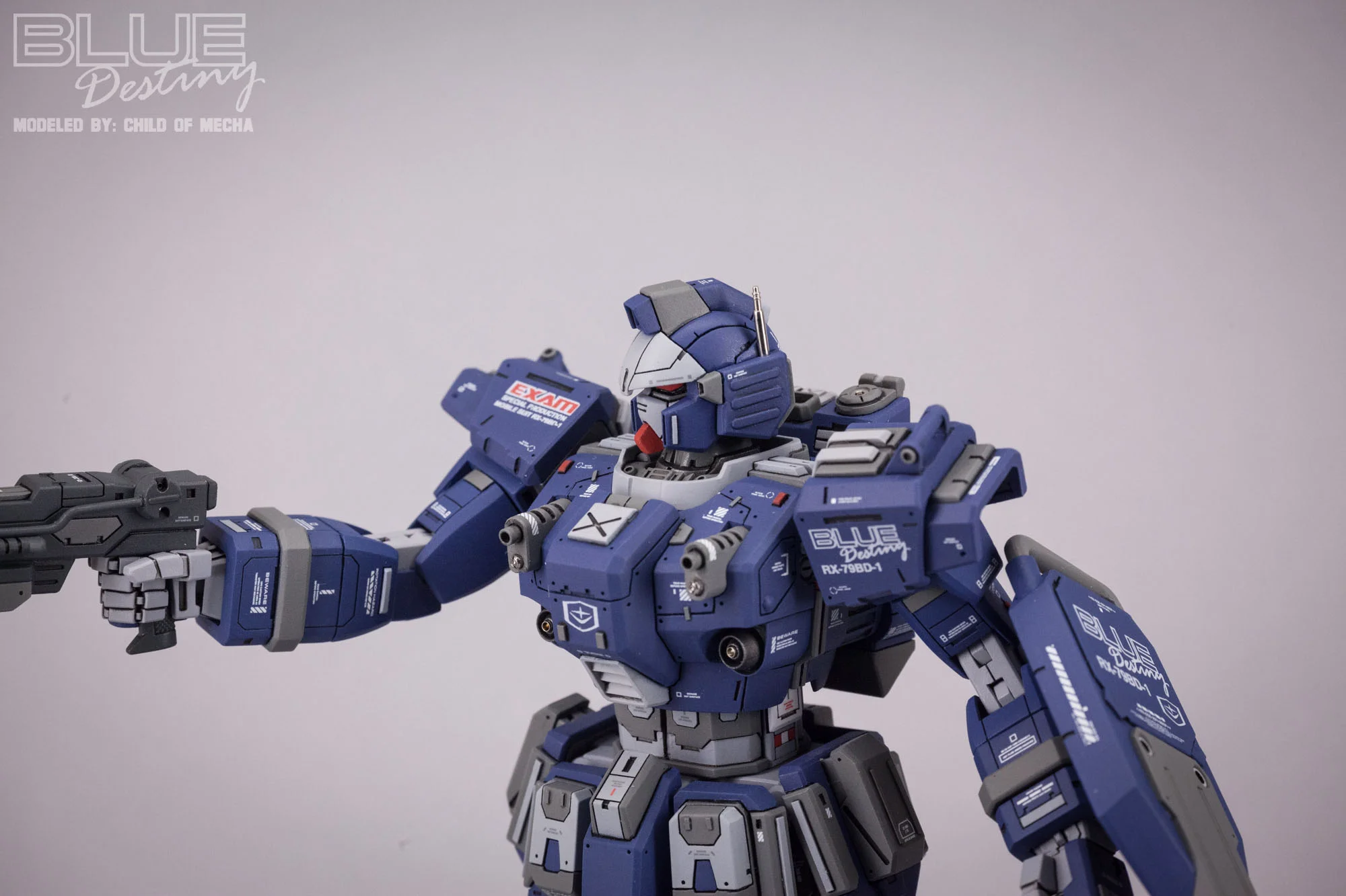 Blue Destiny Refurbished (45).jpg