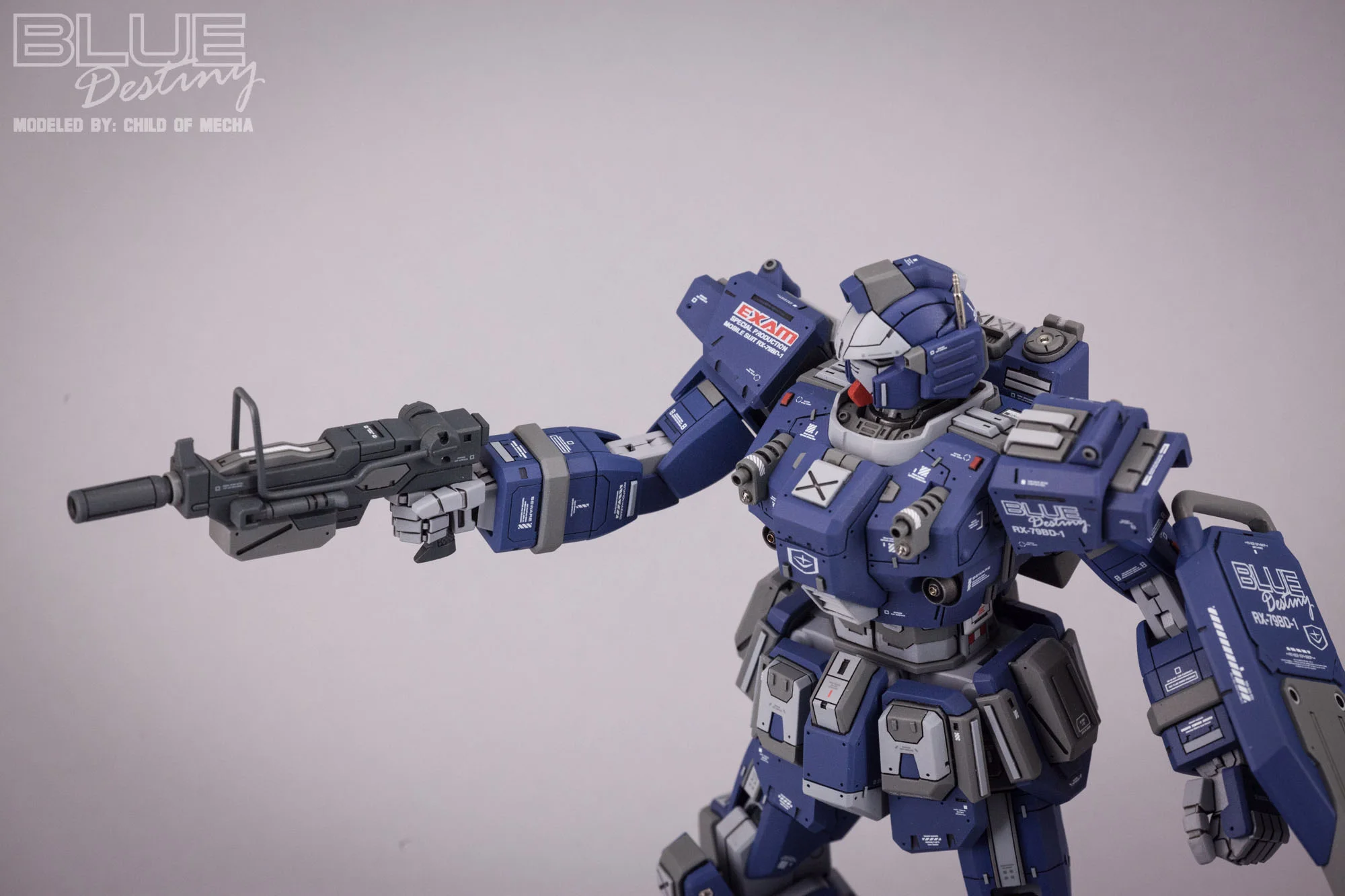 Blue Destiny Refurbished (46).jpg