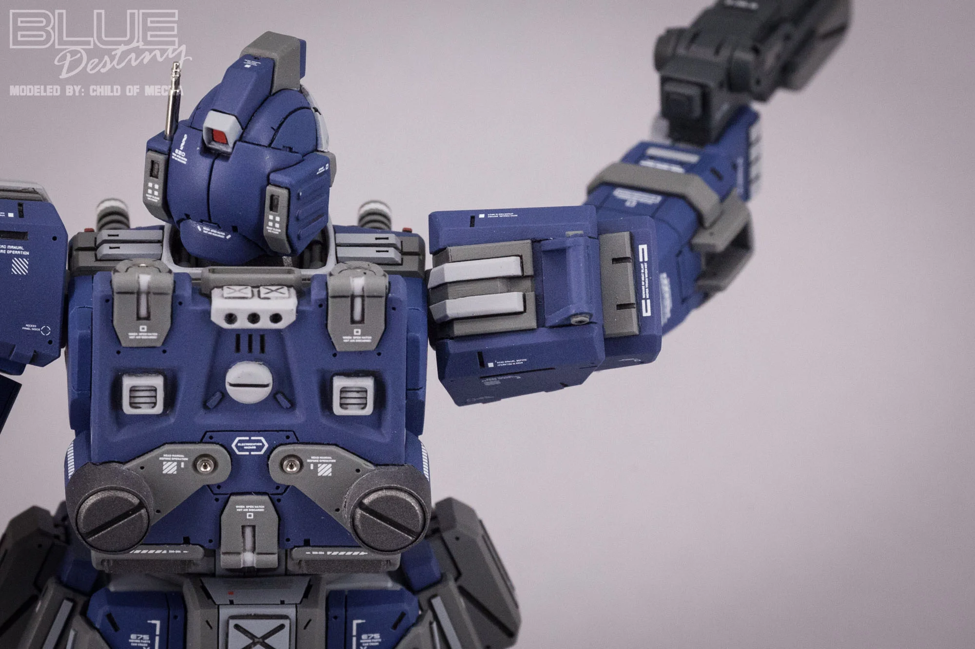 Blue Destiny Refurbished (55).jpg