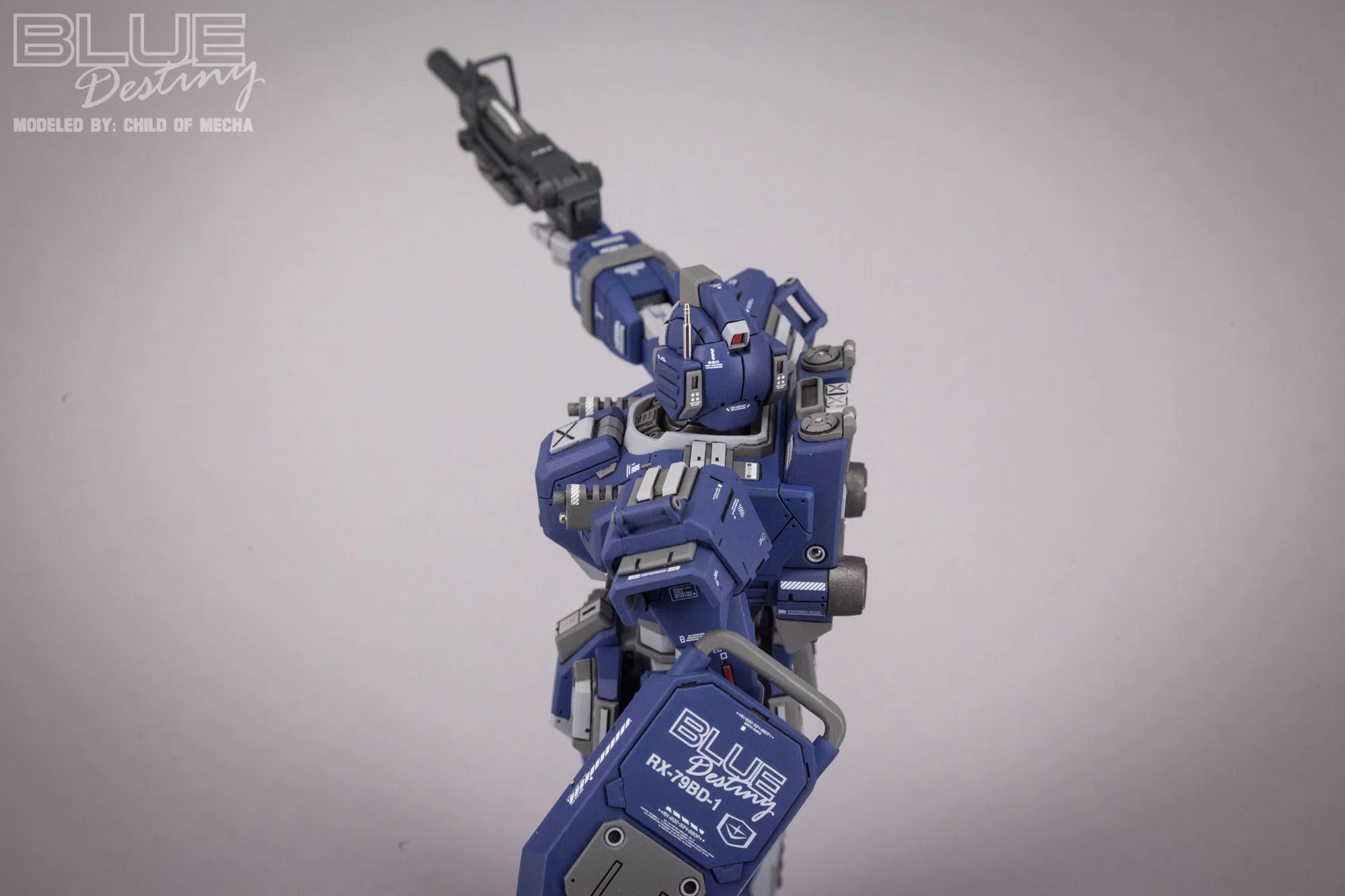 Blue Destiny Refurbished (63).jpg