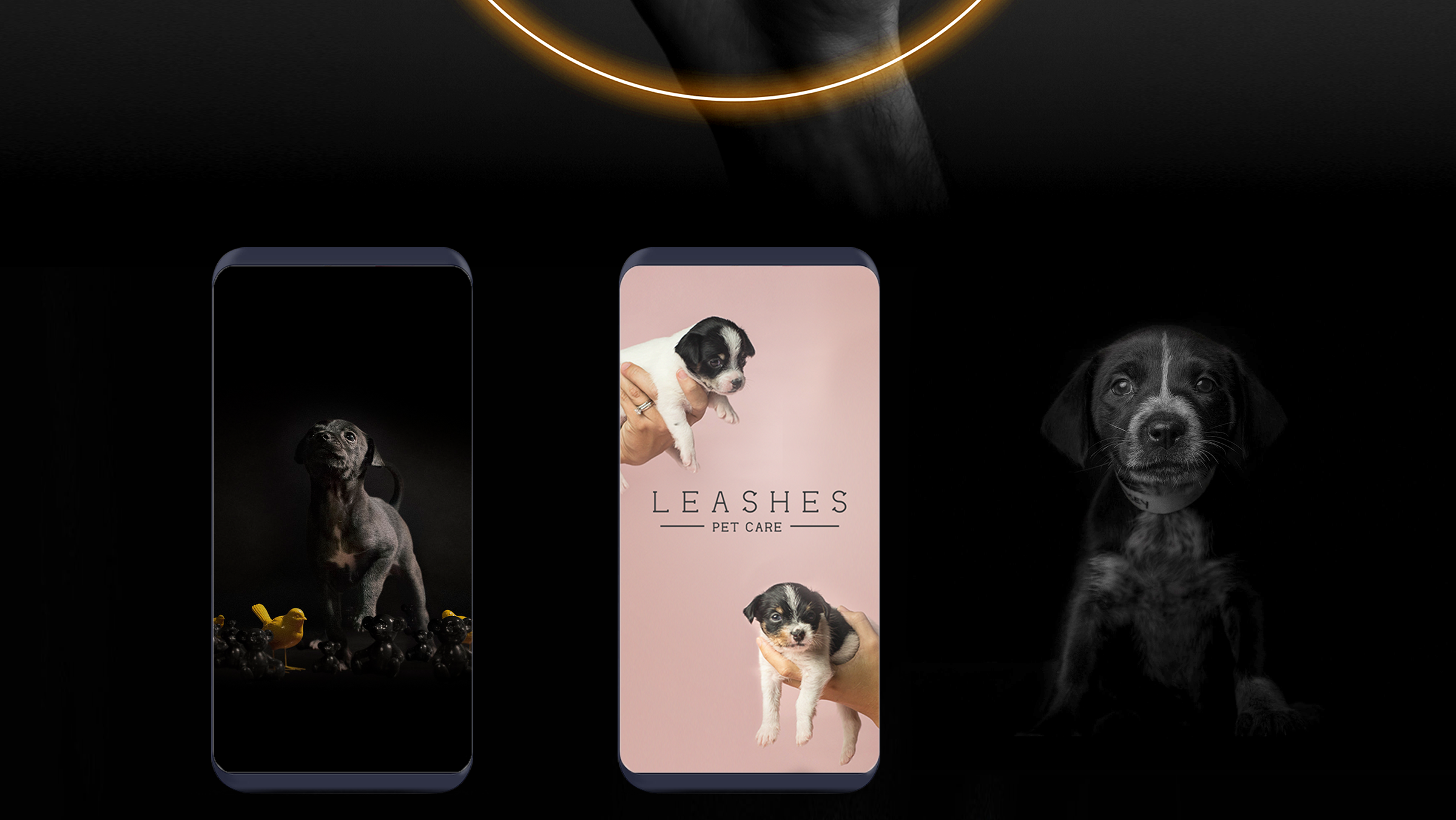 scroll_leashes_2.png
