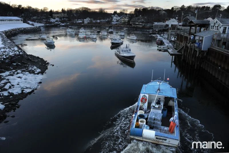 FF_Ogunquit_Lobster_09-51036-800-600-80-wm-right_bottom-100-mainelogopng.jpg