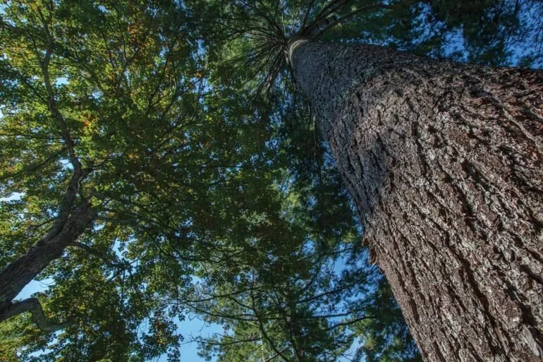 2211_RWV-770x513.jpg