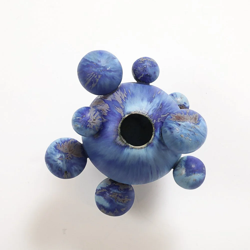 Vernal pool purple R. Heidinger.jpeg