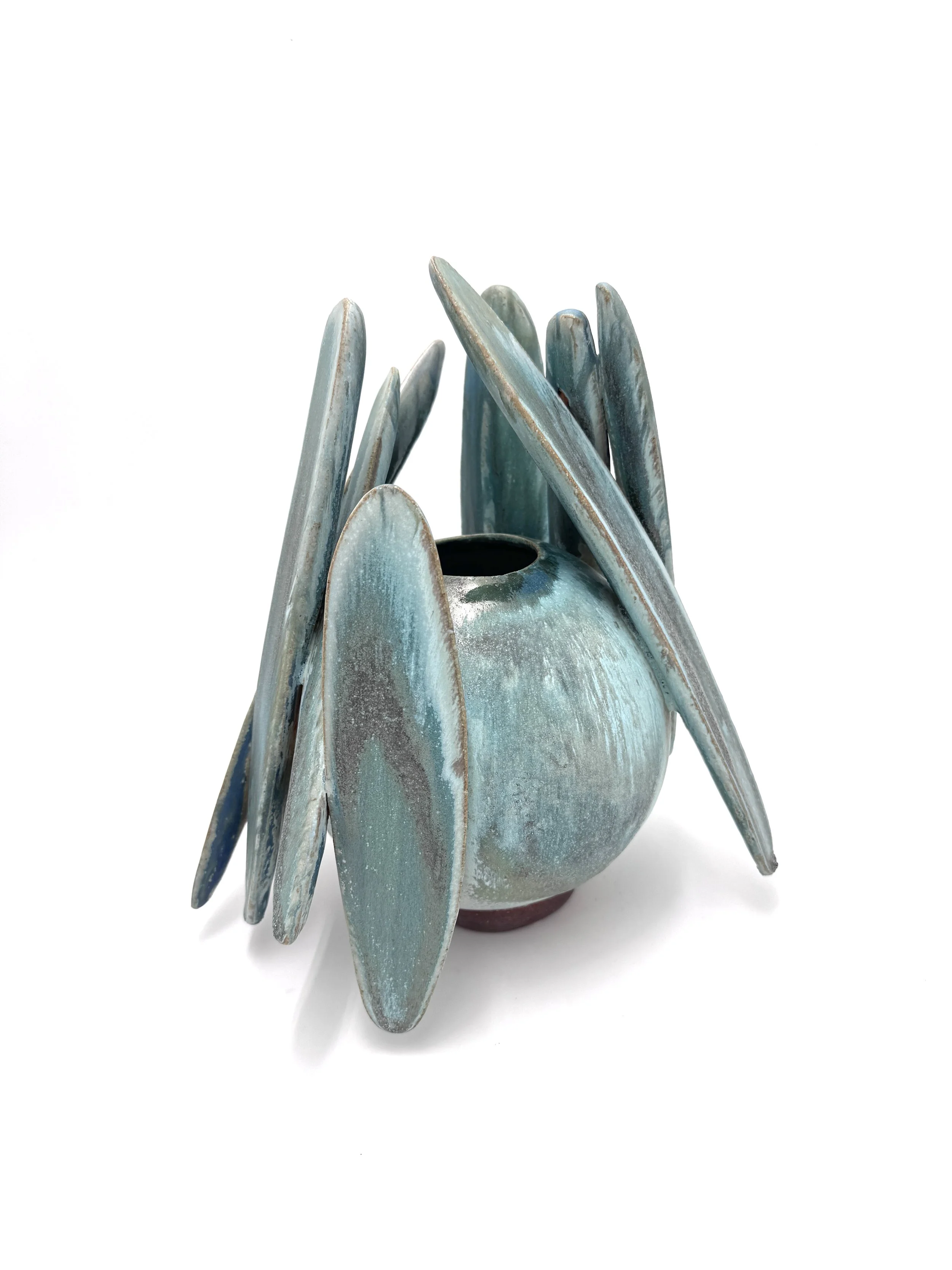 long lichen skis 2026.jpg