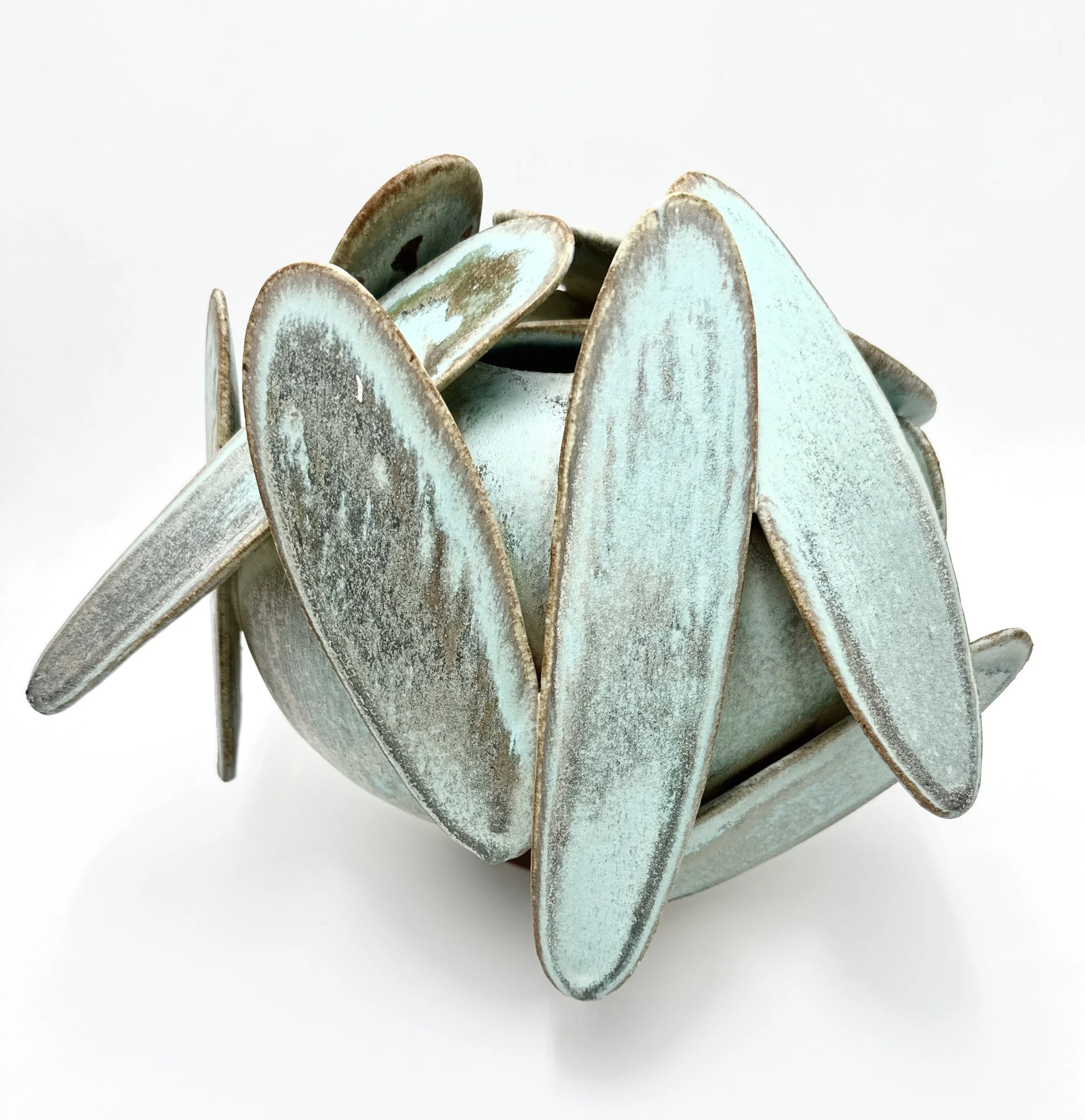 Butterfly Lichen.jpg