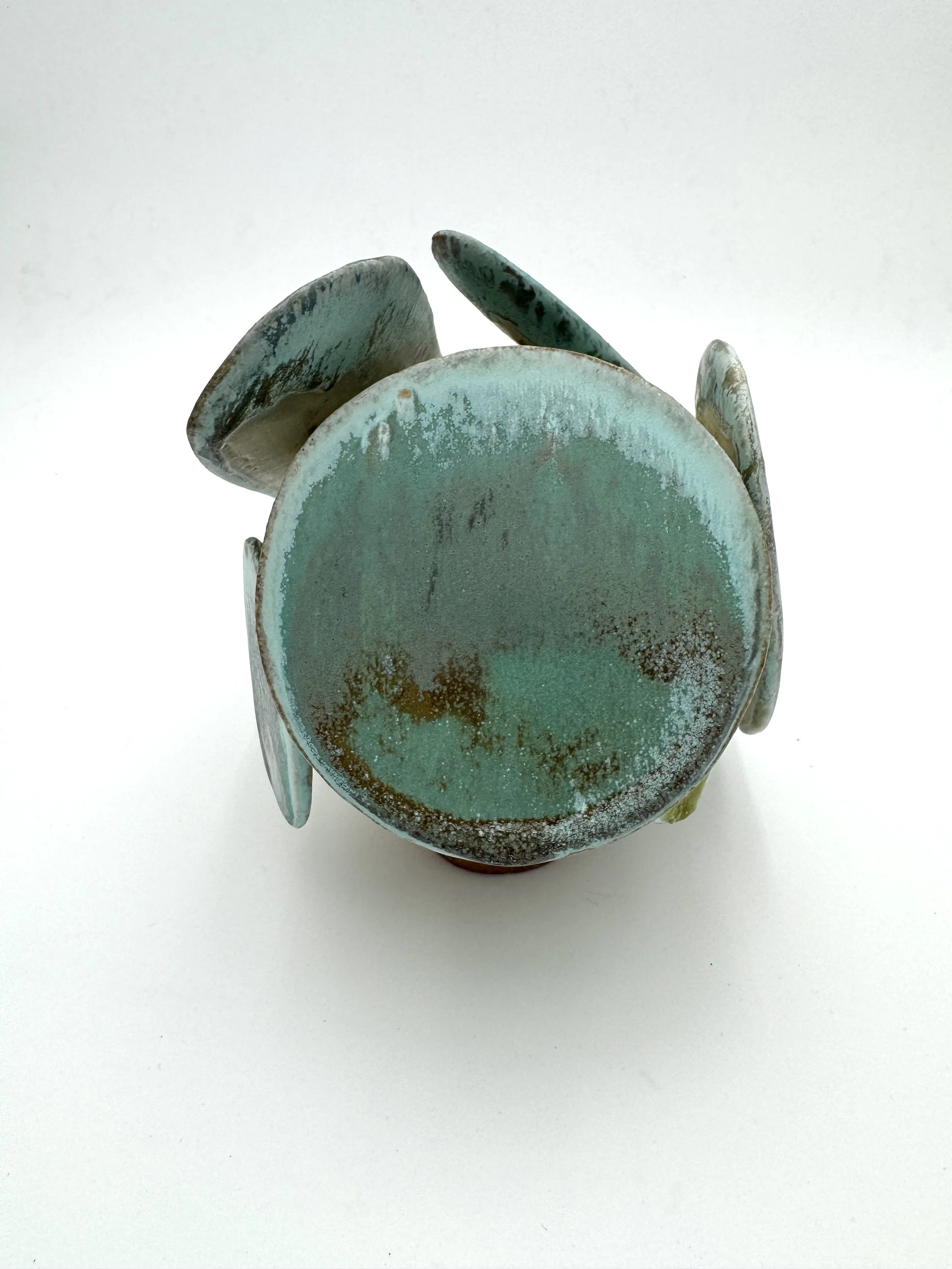 Lichen brite green circle .jpg