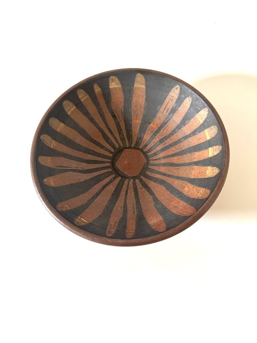 Aster Bebop Bowl.JPG