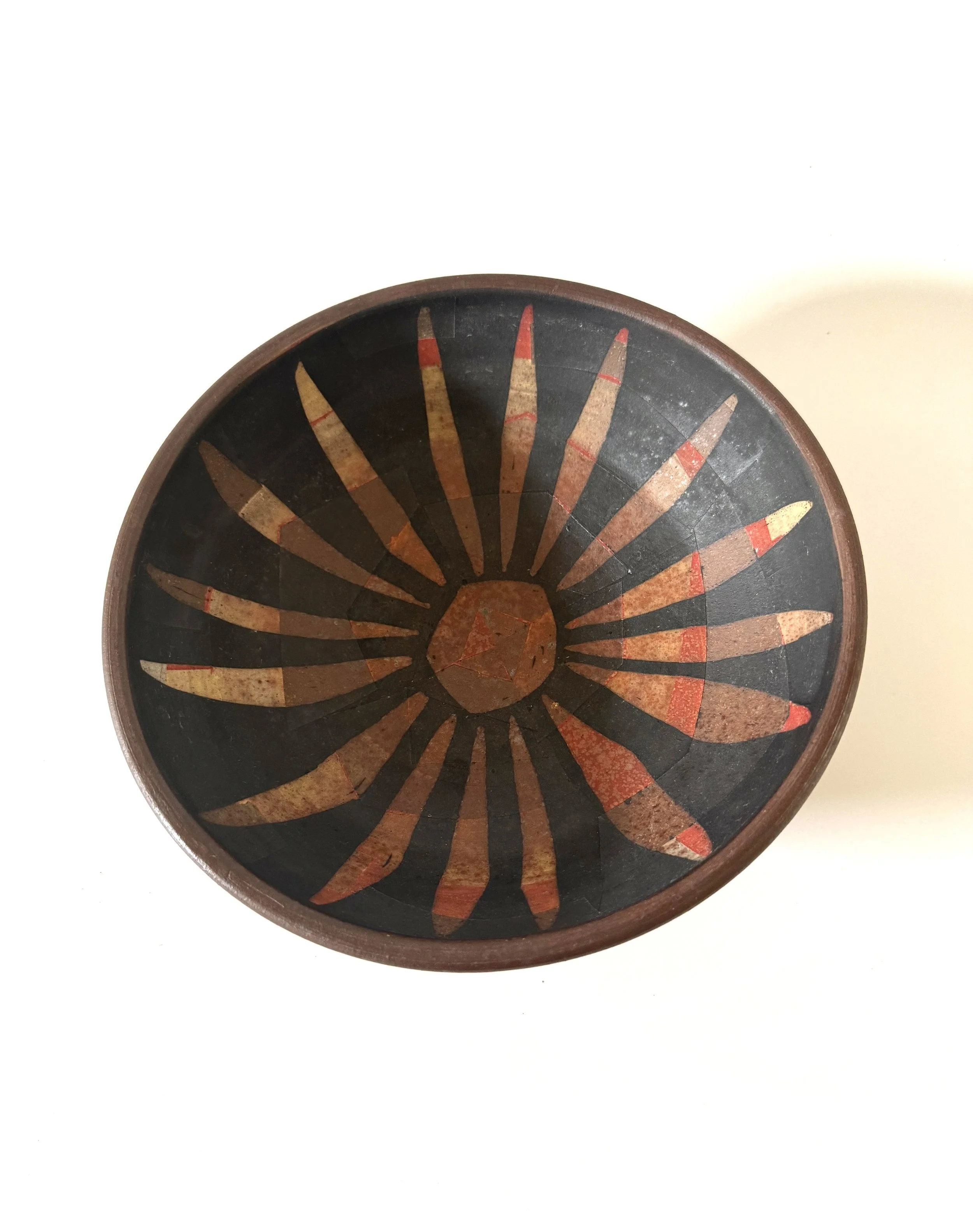 Aster Bebop in red topo.JPG