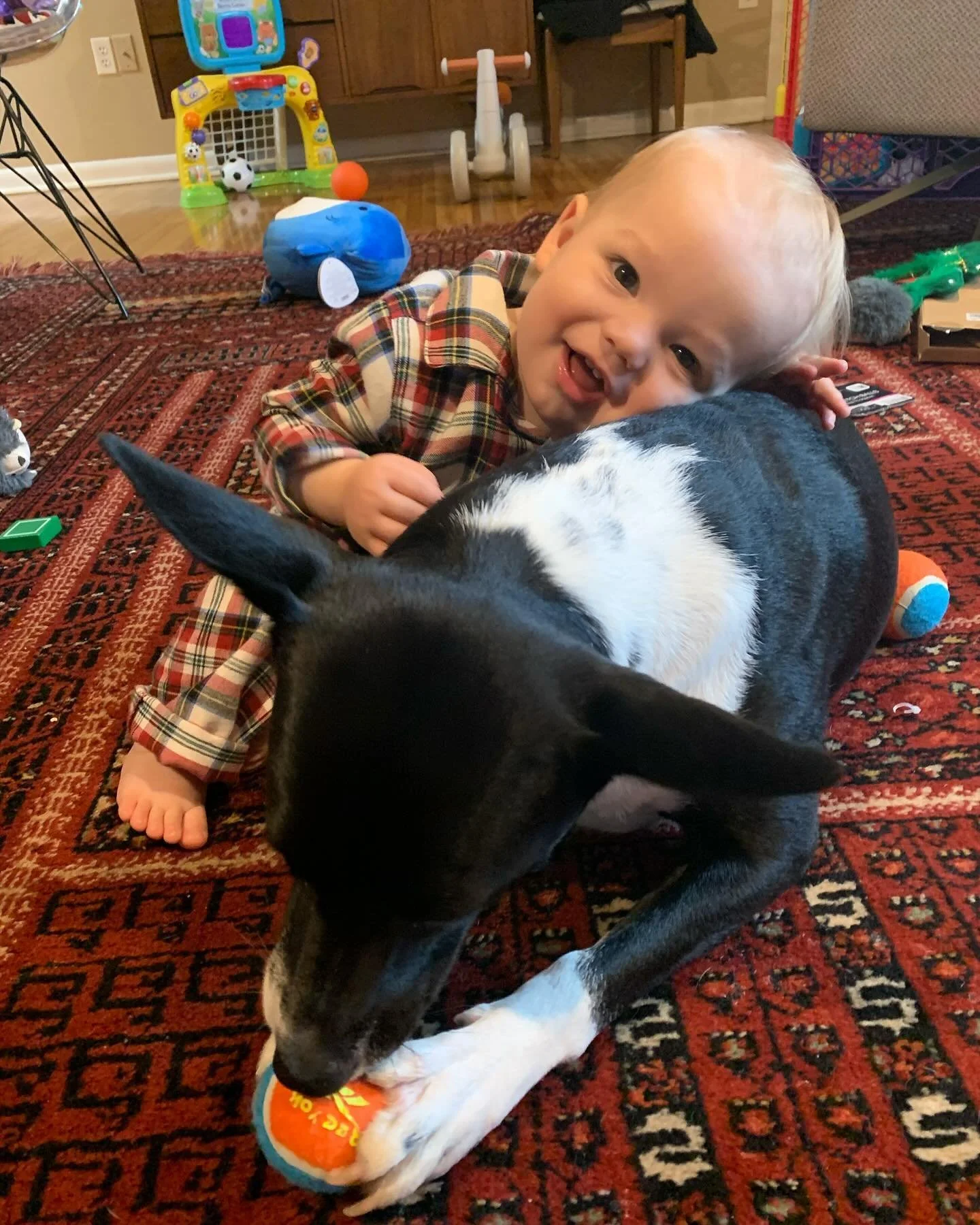 Sending holiday hugs to all! Hope everyone is having the merriest and brightest of days with their loved ones. 

#hugs #babies #merrychristmas #merryandbright