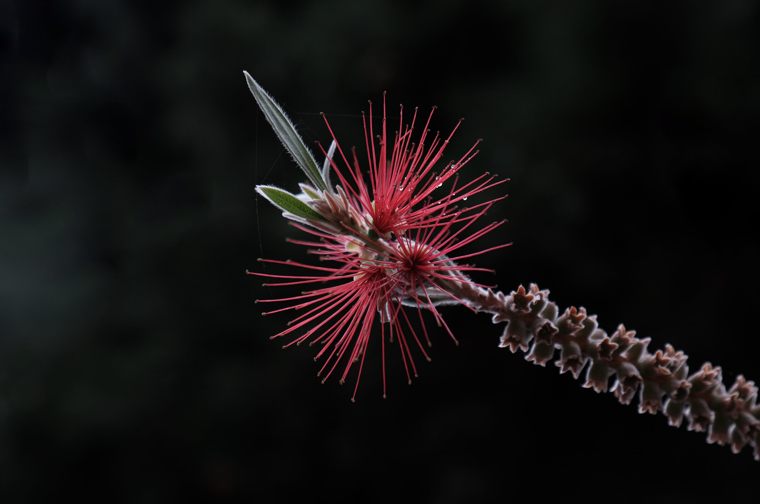 DSCF5135.jpg