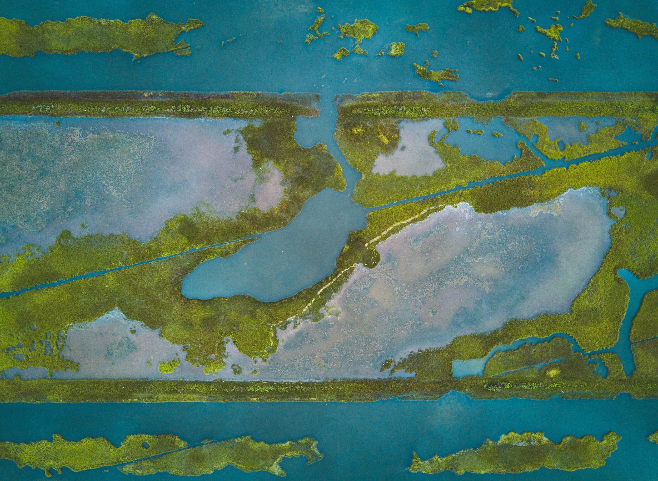 DJI_0331.jpg