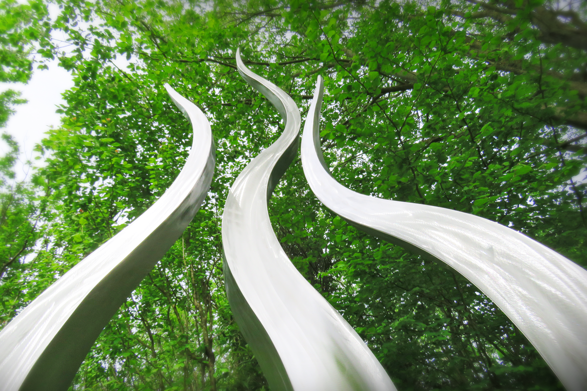 Silver-grass-close-3.png