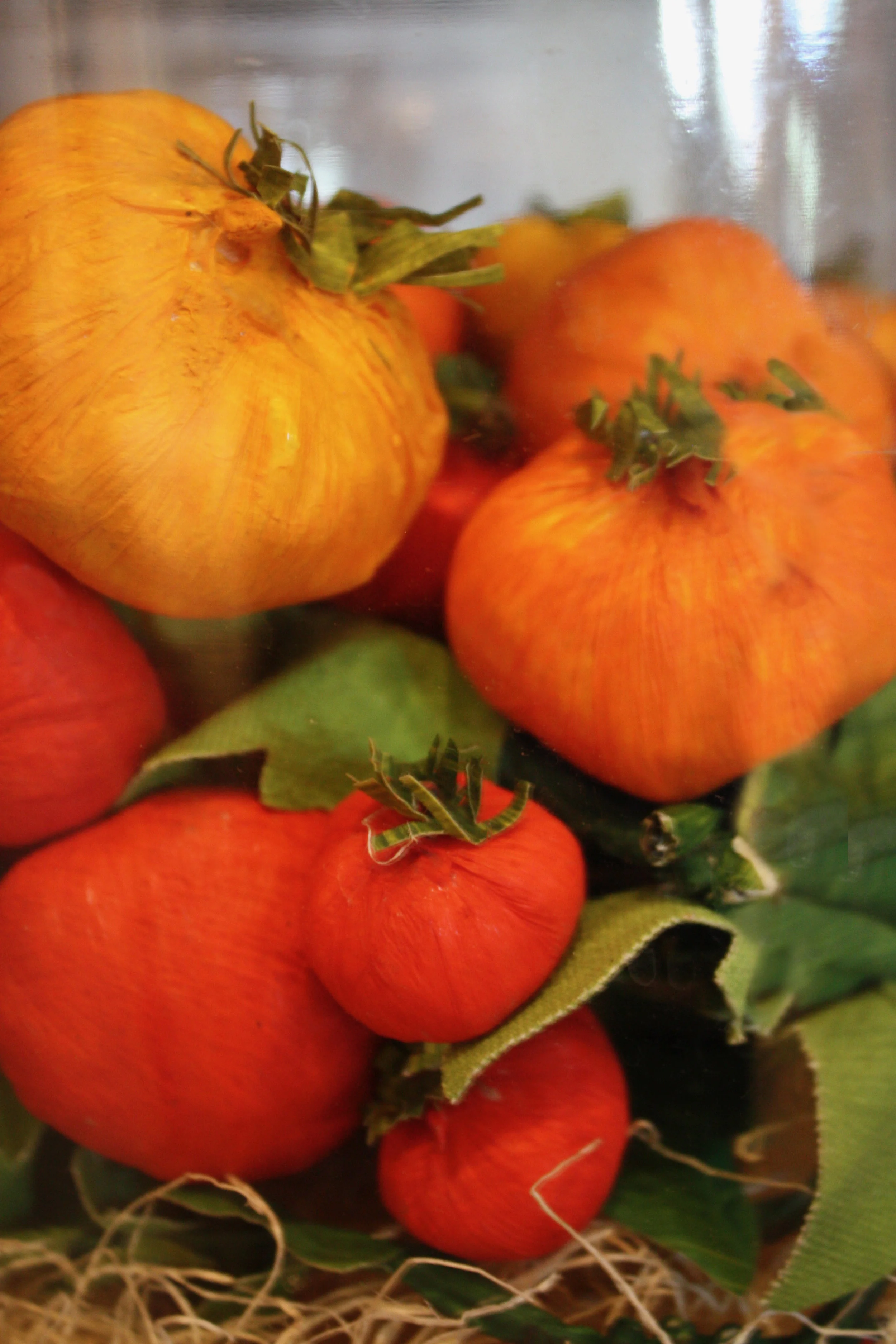 tomatoworkshop.jpg