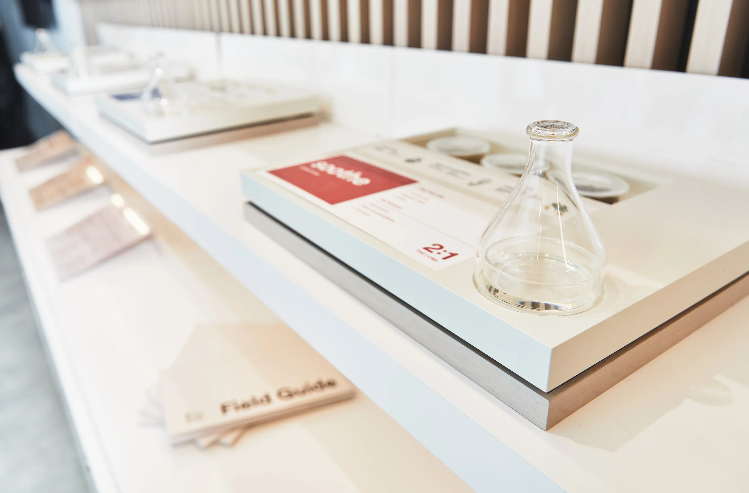 DOSIST, FIRE + FLOWER (KATHERINE HOLLAND, 2019) 37.jpg