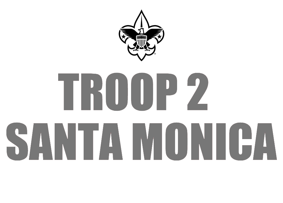 Troop 2 copy.png