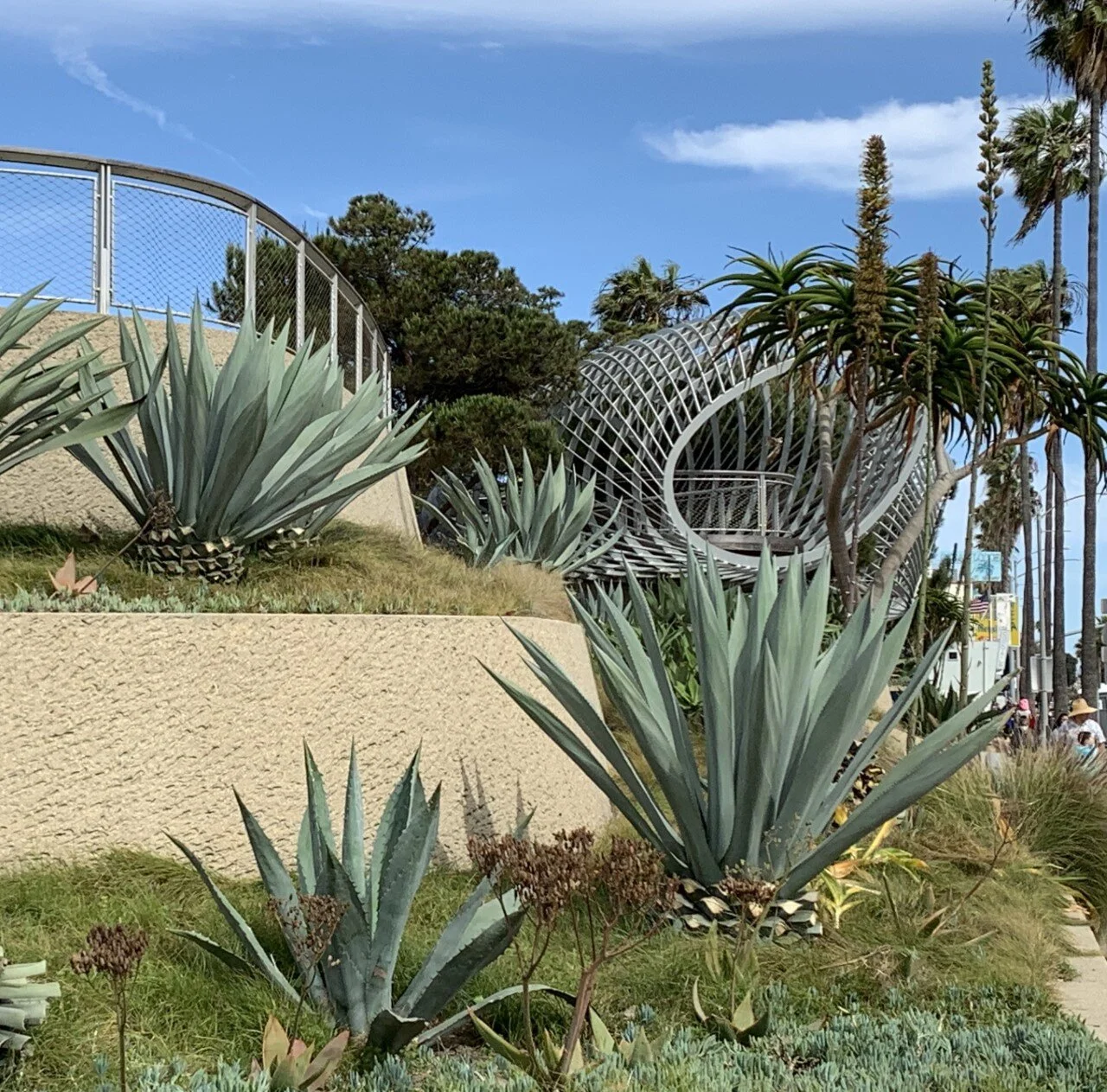 A Walk in the Park: Tongva Park in Santa Monica