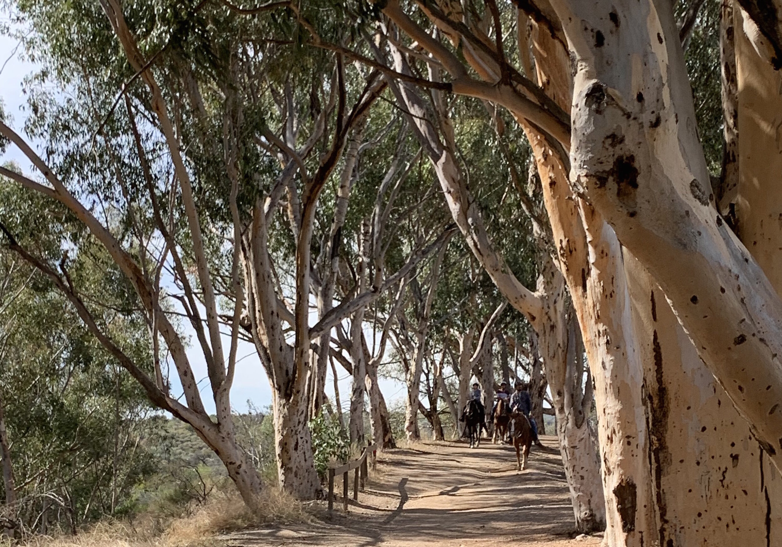 Header_WR Trail.jpeg