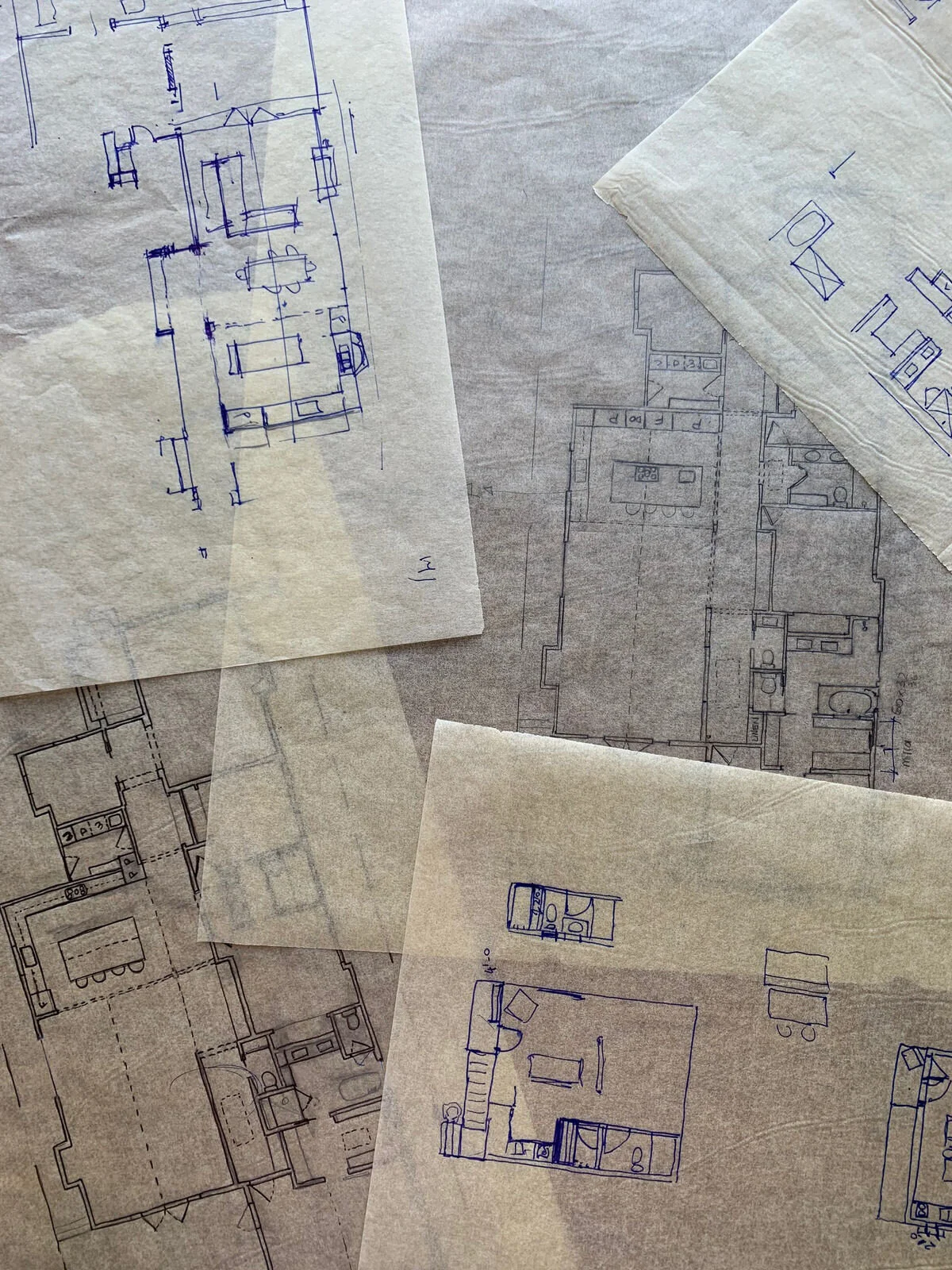 Harvard St. Sketches.jpeg