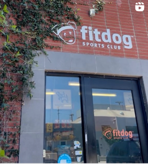 Photo courtesy of Fitdog