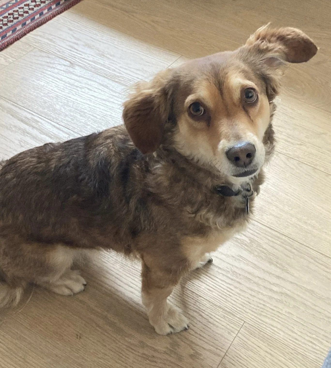 Athena strikes a pose