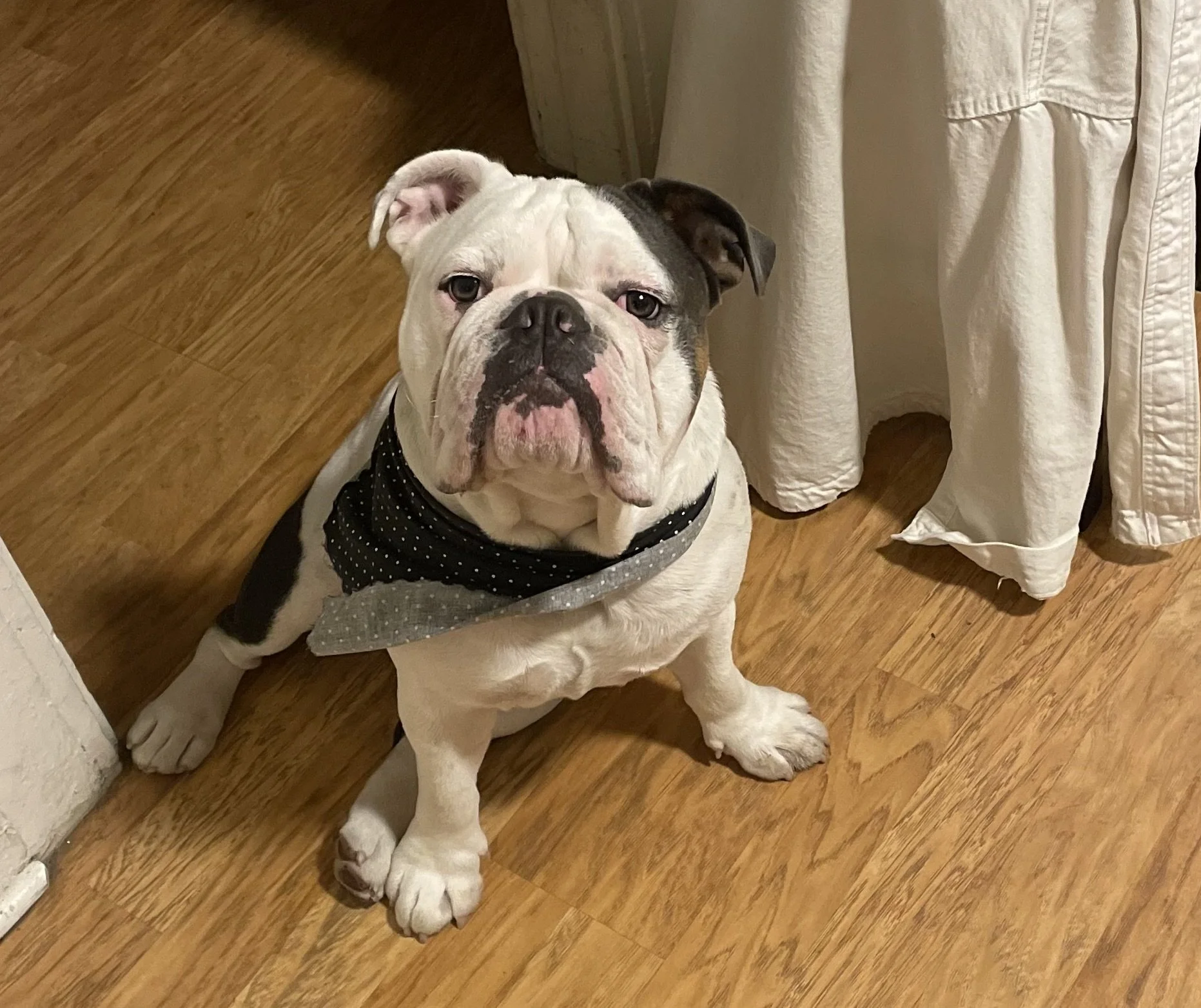 George mugs it up for the camera