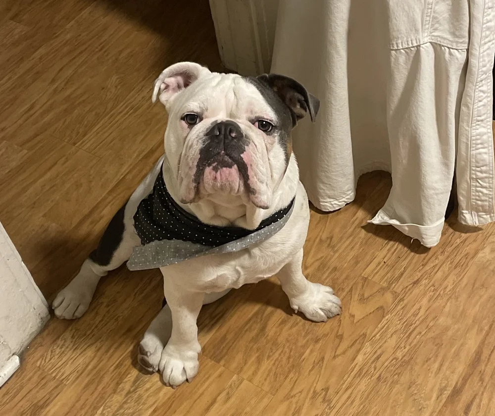 George mugs it up for the camera