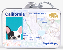 Image courtesy of tagsforhope.com