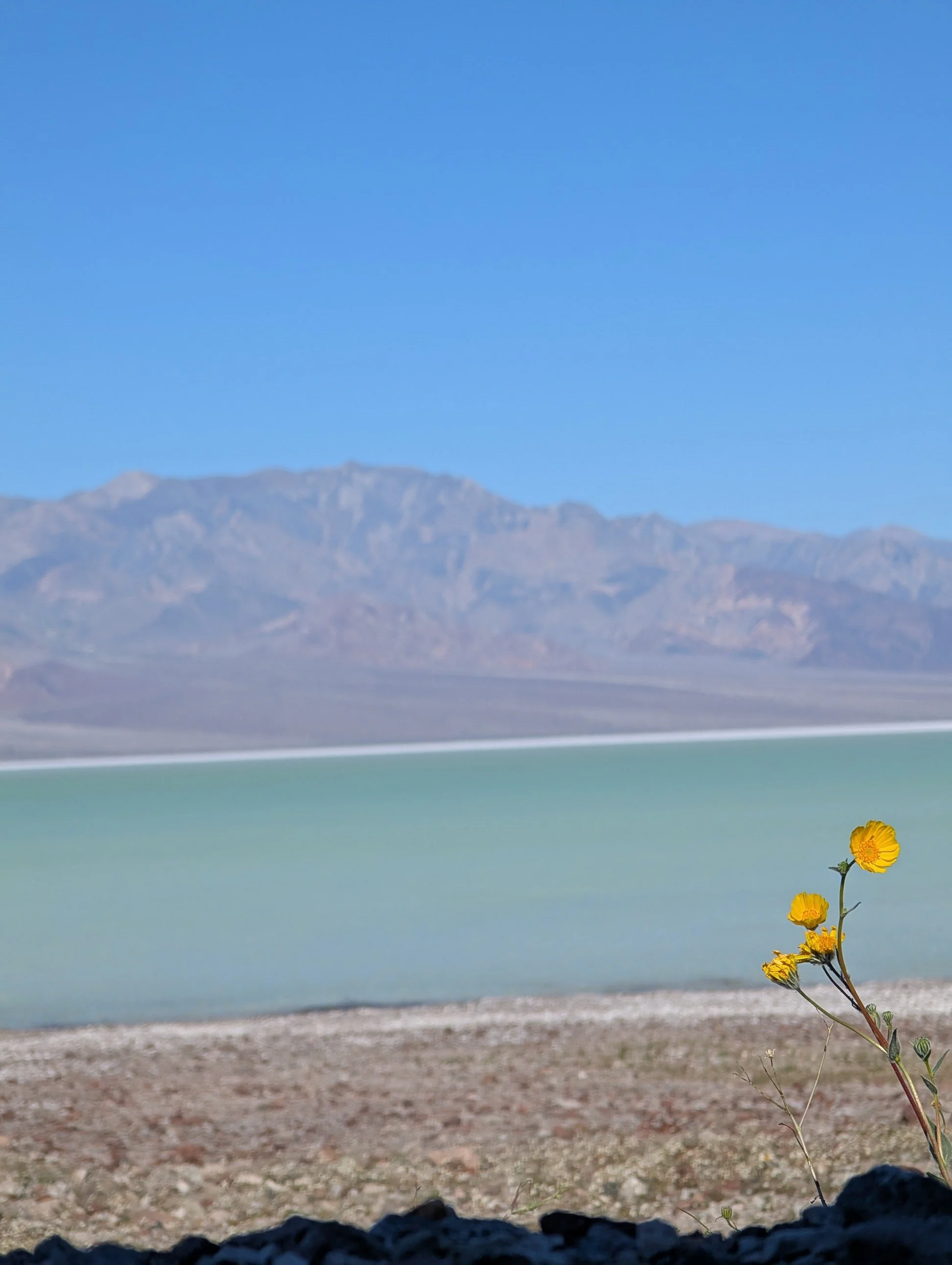 Image courtesy of Ronan McCoy