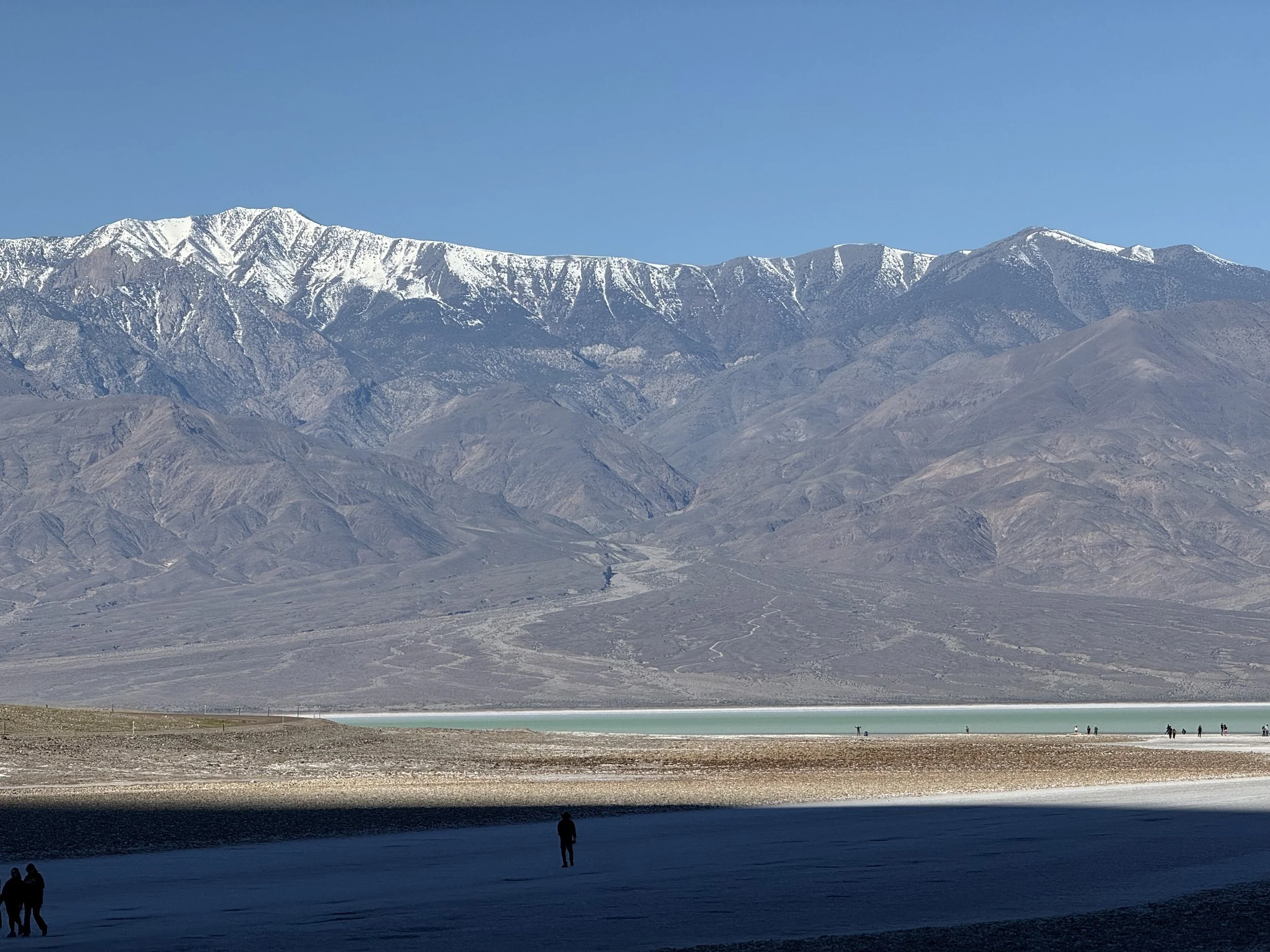 Images courtesy of J. Handy