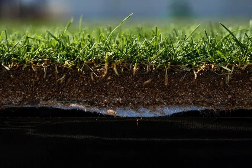 Turf gown on plastic so it can be easily transported
