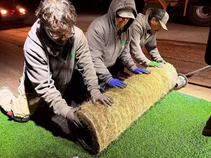 Harvesting process, via cnn.com