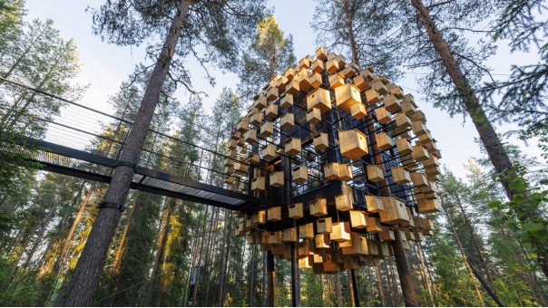 Elevating Treehouses to New Heights