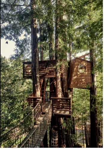 Loma Mar Treehouse Image courtesy of dwell.com