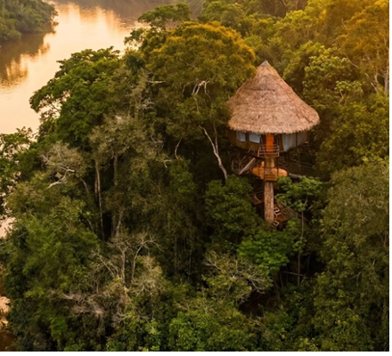 Treehouse Lodge Image by treehouselodge.com