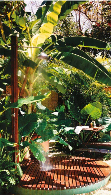garden 3.png