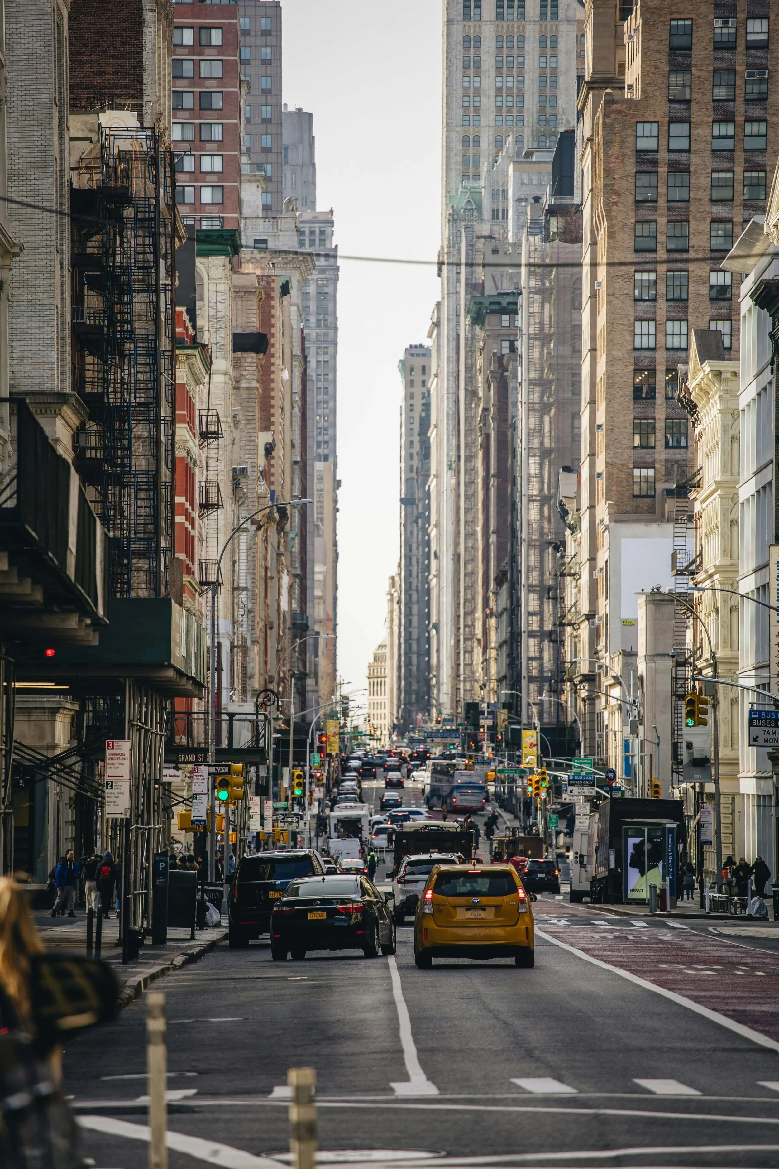 Photo by Timo Wielink on Unsplash