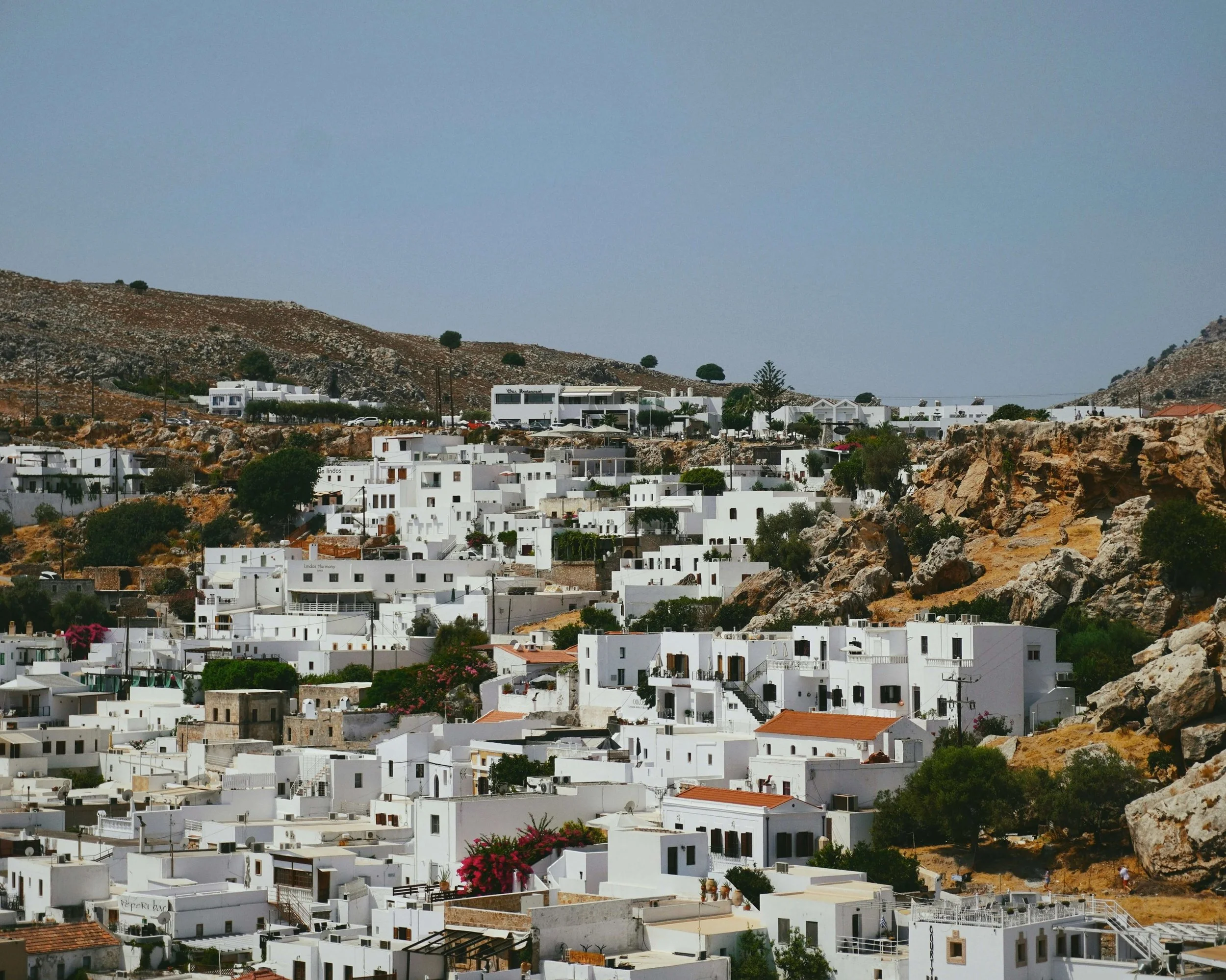 Photo by ALI on Unsplash
