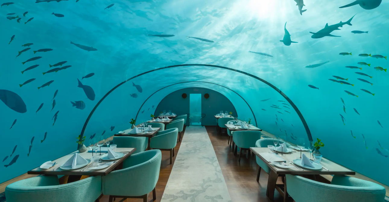 Designed to Dine