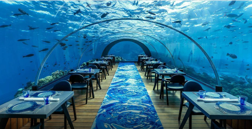 maldives 4.png