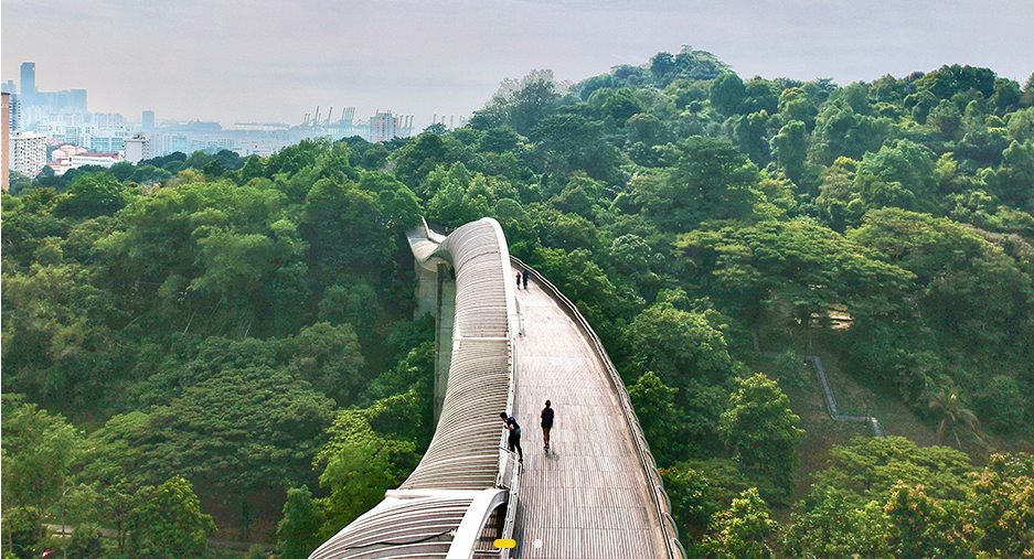 Henderson Waves Bridge, Singapore,  courtesy of nparks.gov.sg