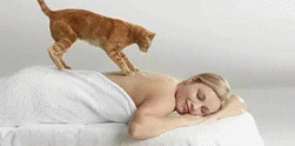 chat.gif
