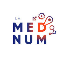 Logo MEDNUM.jpeg