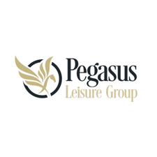 Match-and-Wood-Media-Agency-Pegasus.png