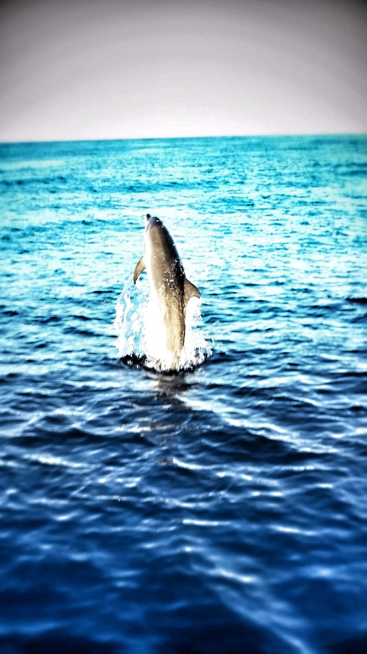 20141124_162523.119124231_large.jpg