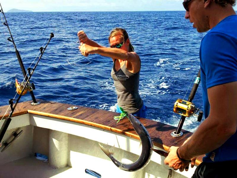 launching_fish.248101141_std.jpg