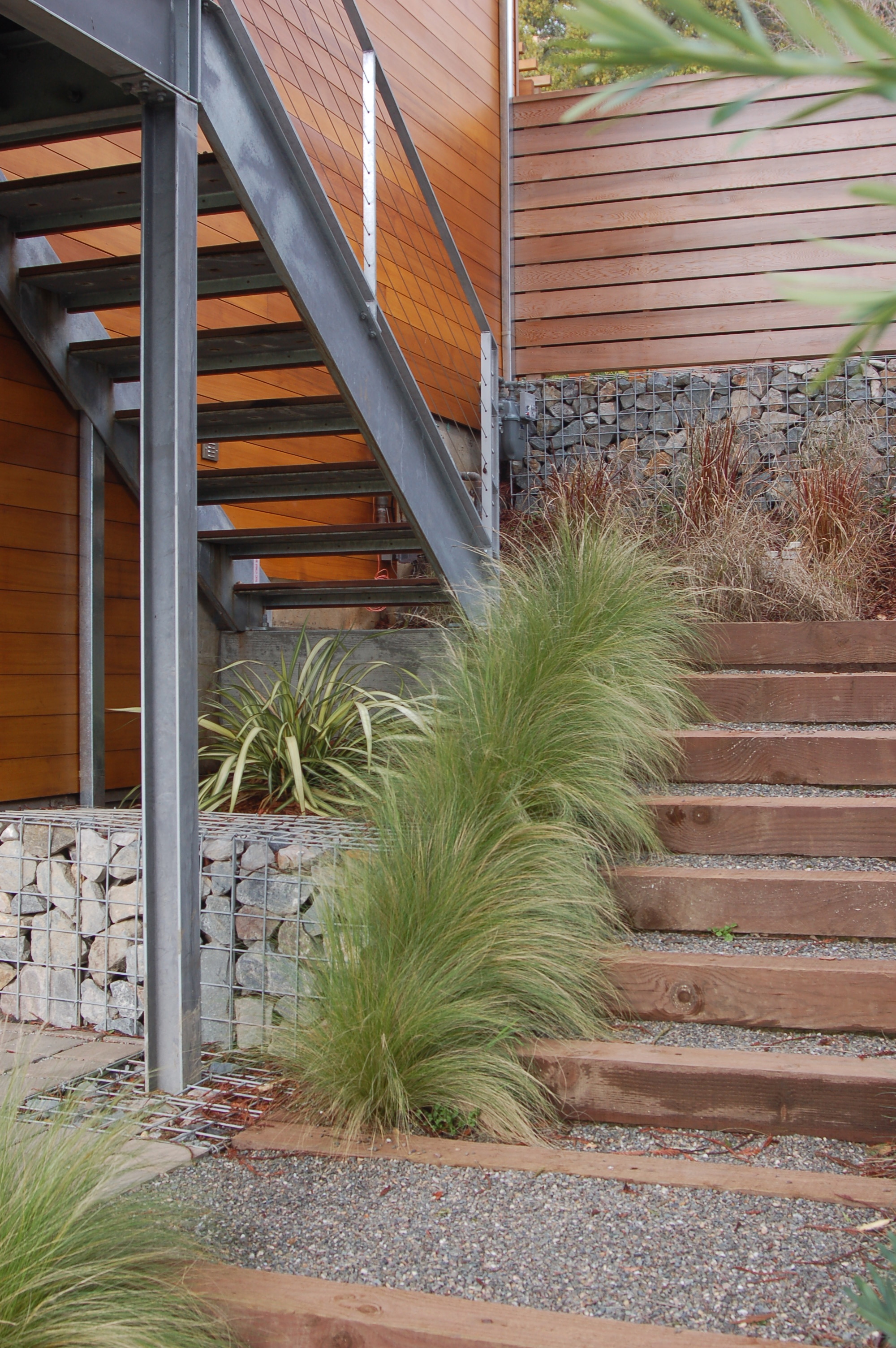 Mill-Valley-Modern-Green (1).jpg