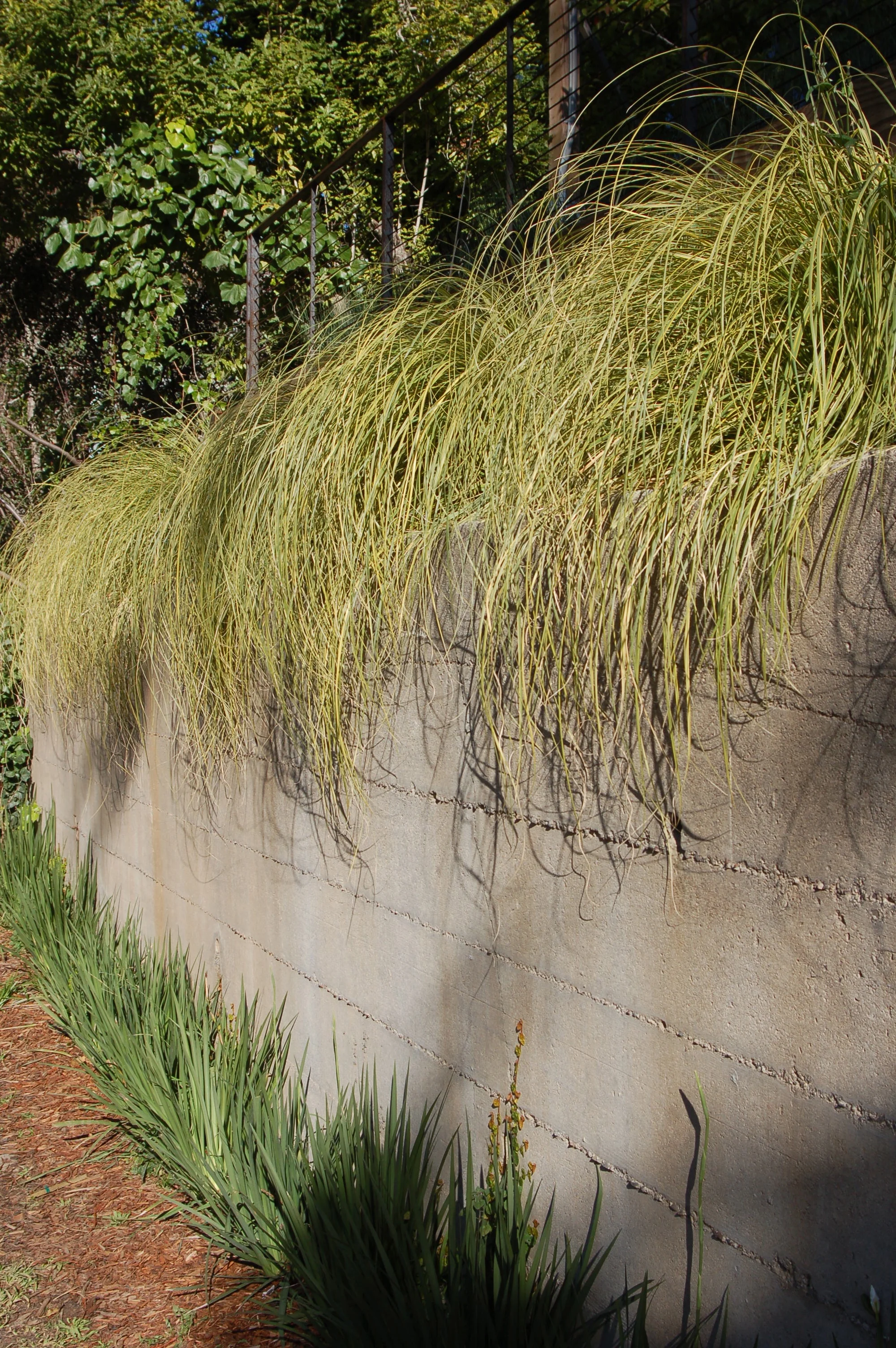 Mill-Valley-Modern-Green (4).jpg